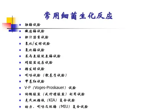 微生物细菌鉴定试验汇总