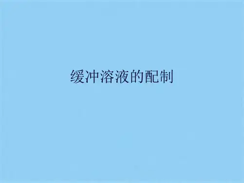 缓冲溶液的配制(共13张PPT)