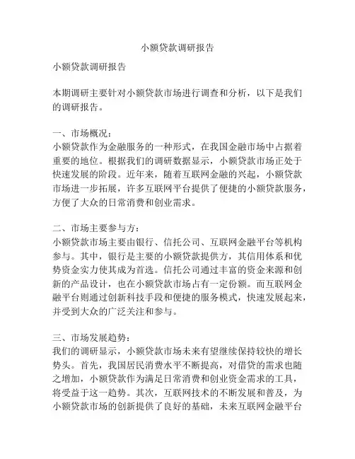 小额贷款调研报告