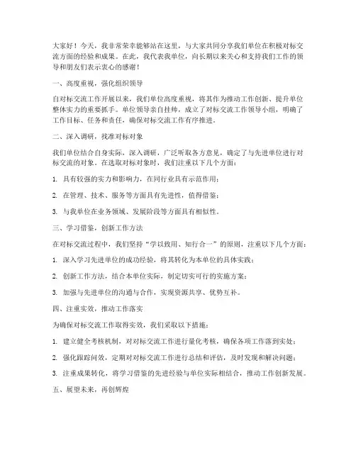 积极对标交流发言稿范文