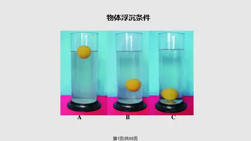物体浮沉条件及应用公开课PPT课件