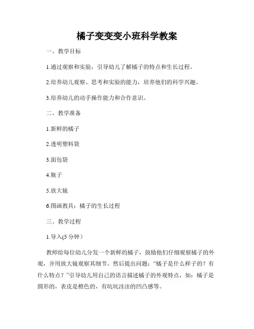 橘子变变变小班科学教案