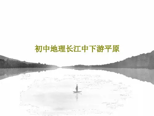 初中地理长江中下游平原共40页PPT