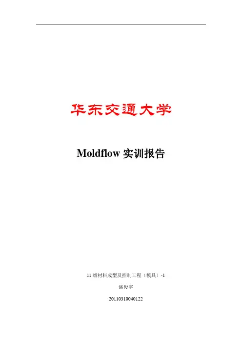 moldflow报告