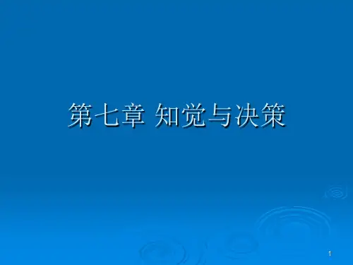 知觉与决策PPT课件