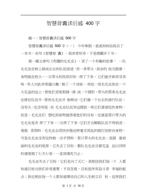 智慧背囊读后感400字