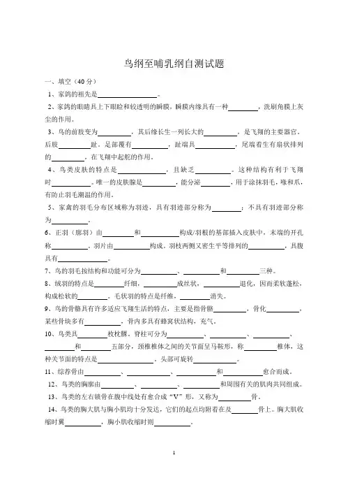 鸟纲至哺乳纲自测试题