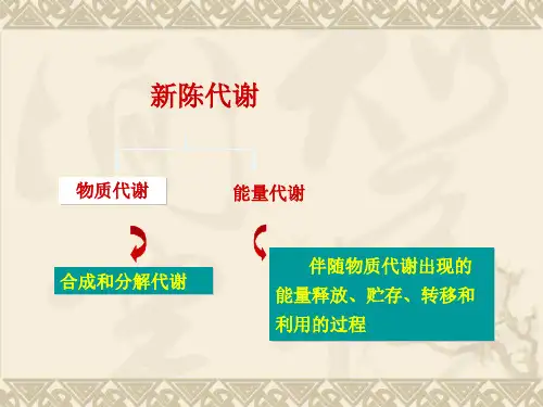 能量代谢与体温调节(1)