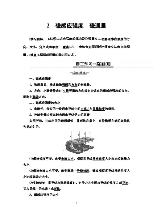 统编人教版物理高中必修第三册《2 磁感应强度 磁通量》优秀教案教学设计