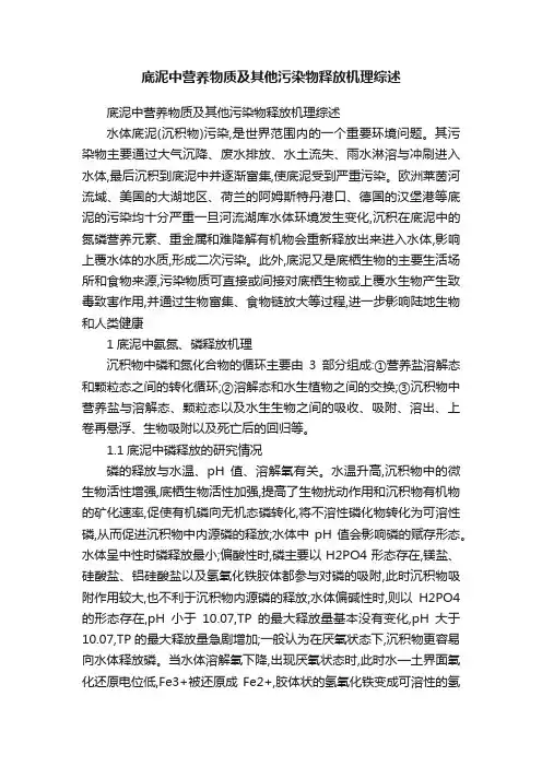 底泥中营养物质及其他污染物释放机理综述