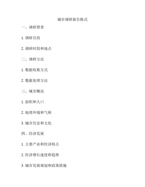 城市调研报告格式