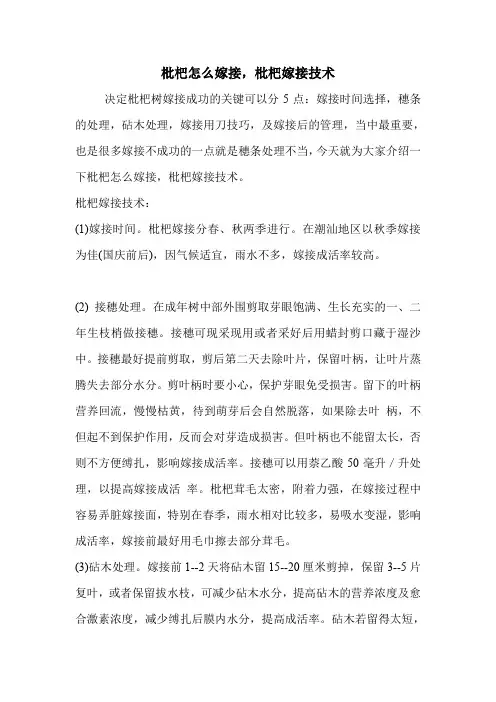 枇杷怎么嫁接,枇杷嫁接技术.doc