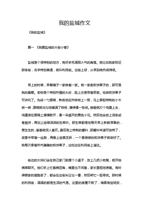 我的盐城作文