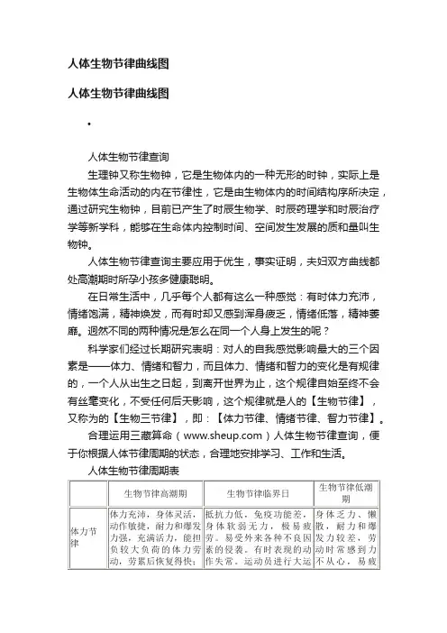 人体生物节律曲线图