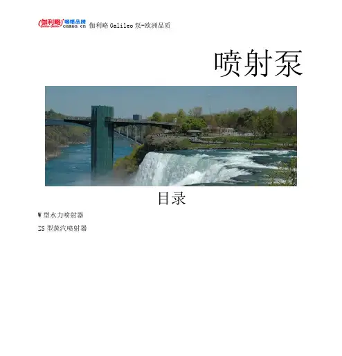 喷射泵