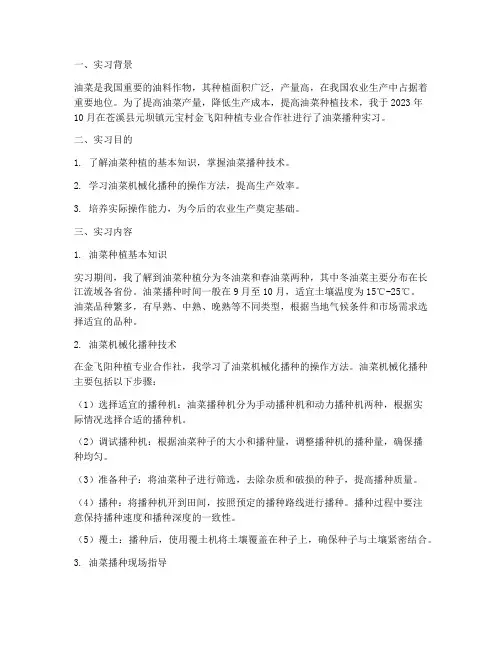 油菜的播种实习报告