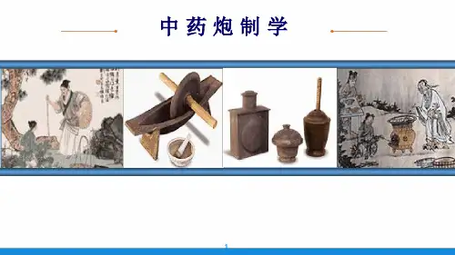 中药炮制最新优质ppt课件
