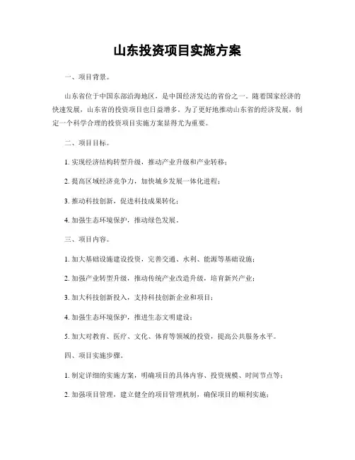 山东投资项目实施方案