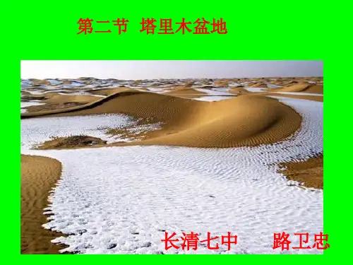 塔里木盆地ppt获奖课件