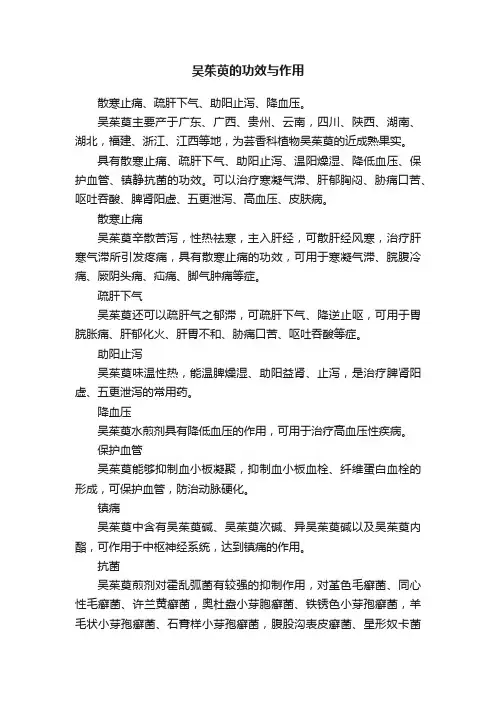 吴茱萸的功效与作用