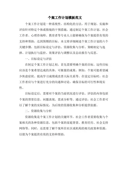 个案工作计划模板范文