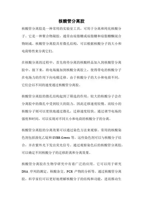 核酸管分离胶