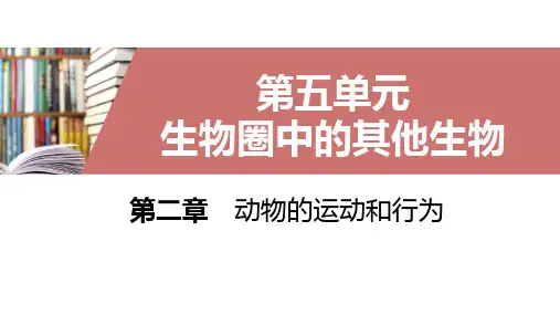 第二章第三节社会行为(人教版生物)