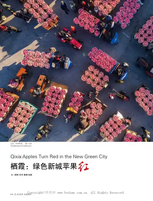 栖霞：绿色新城苹果红