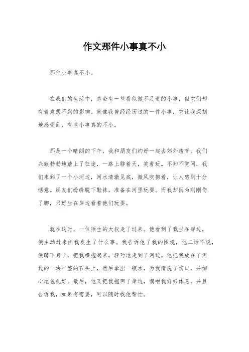 作文那件小事真不小