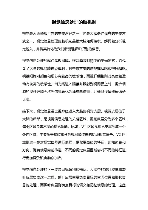 视觉信息处理的脑机制