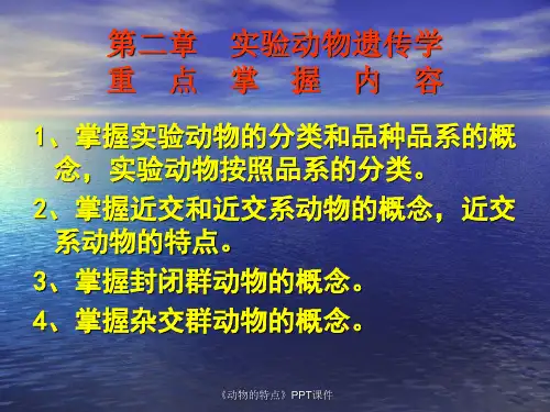 动物的特点课件