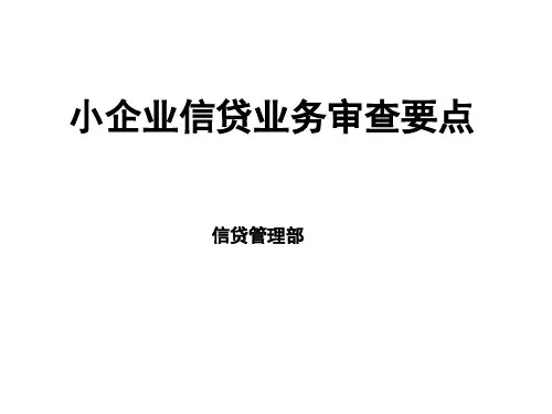 小企业信贷业务审查要点