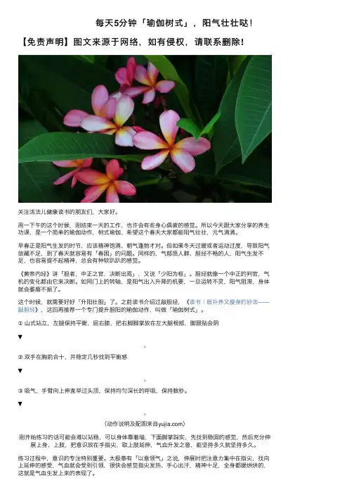 每天5分钟「瑜伽树式」，阳气壮壮哒！