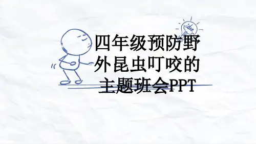 四年级预防野外昆虫叮咬的主题班会PPT