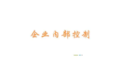 10425企业内部控制第09章