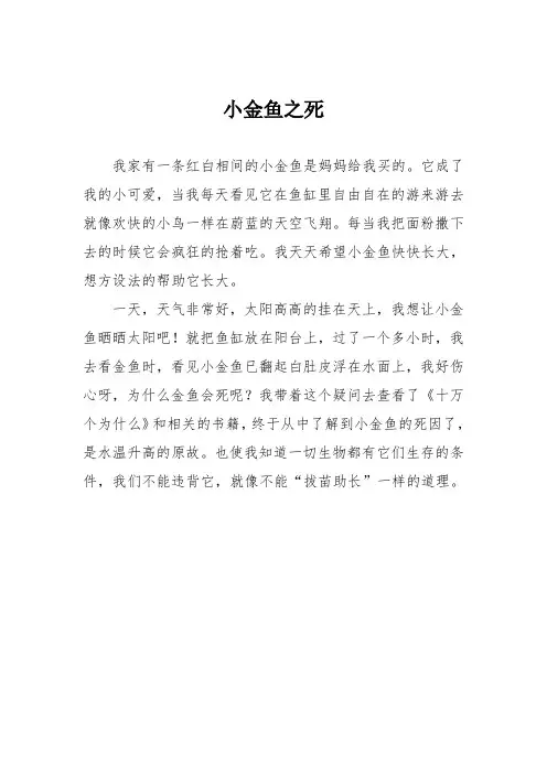 小学二年级作文：小金鱼之死0