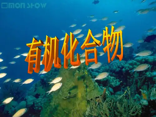 高一化学甲烷(1)