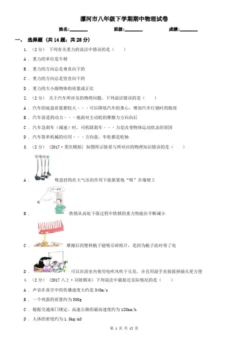 漯河市八年级下学期期中物理试卷