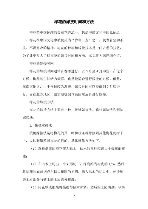 梅花的嫁接时间和方法