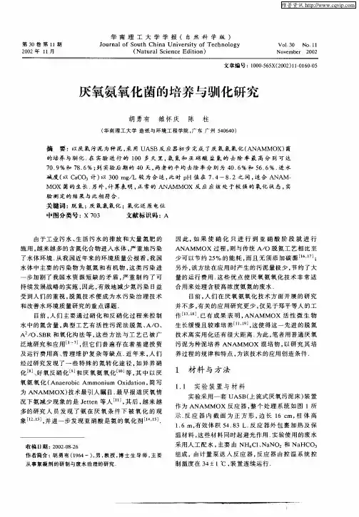 厌氧氨氧化菌的培养与驯化研究