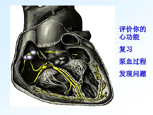 《生理学》心脏的生物电活动和生理特性