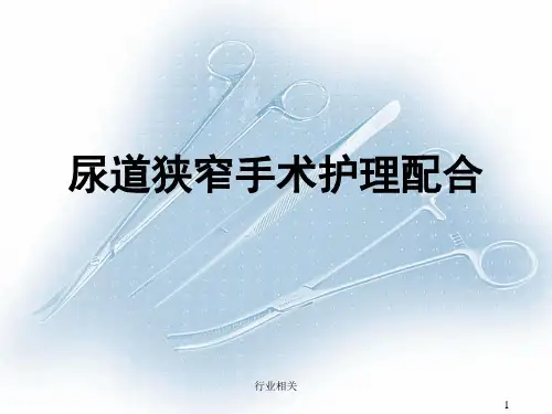 尿道狭窄切开术[一类严选]