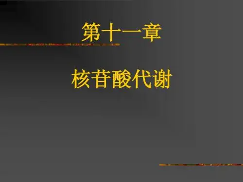 第十一章 核苷酸代谢