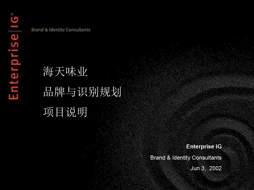 海天味业品牌及识别规划项目说明(ppt 35) 
