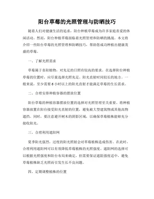 阳台草莓的光照管理与防晒技巧