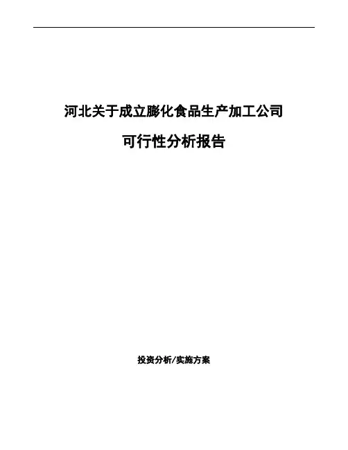河北关于成立膨化食品生产加工公司可行性分析报告