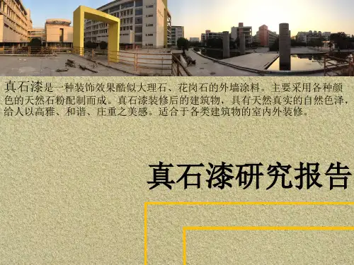真石漆报告