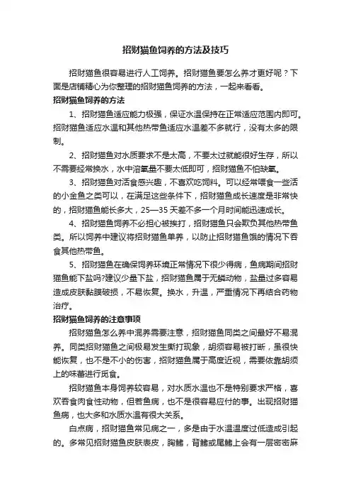 招财猫鱼饲养的方法及技巧
