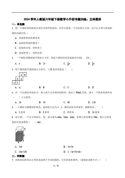 2024学年人教版六年级下册数学小升初专题训练：立体图形