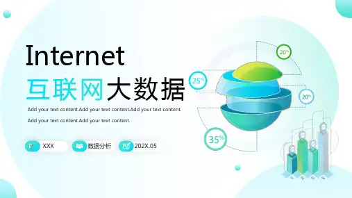 互联网大数据用户分析报告精品模板分享